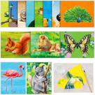 Produtos de demência Crafts Teling para idosos com pincel de pintura