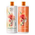 Progressiva Fada Madrinha Kit 2X1 Paiolla - Paiolla Cosméticos Progressiva Fada Madrinha Kit 2X1 Paiolla - Paiolla Cosméticos