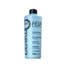 Progressiva Felps Omega Zero Sem Formol 500ml