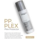 Prohall PP.Plex Protector 200ml Proteção e Reparação Capilar Prohall PP.Plex Protector 200ml Proteção e Reparação Capilar
