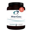 Projetos de proteína de soro de leite em pó para a saúde WheyCool 900g Projetos de proteína de soro de leite em pó para a saúde WheyCool 900g