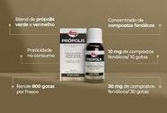 PRÓPOLIS LIQUIDA GOTAS - 20 ML - Blend de Própolis Verde e Vermelho Ultra Concentrado