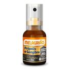 Própolis Spray 30ml Catarinense Extra Forte