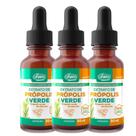 Própolis Verde do Alecrim Extrato de 30ml Unilife kit com 3 Própolis Verde do Alecrim Extrato de 30ml Unilife kit com 3