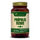 Própolis Verde Em Cápsulas Extrato Seco 500mg 60 Cáps