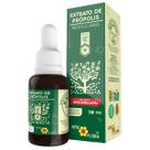 Própolis Verde Extrato Apis Flora Saúde Imunidade 30ml Própolis Verde Extrato Apis Flora Saúde Imunidade 30ml