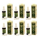 Própolis Verde Extrato De Própolis Apis Flora 30ml Kit C/ 6