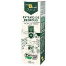 Própolis Verde extrato seco mínimo 16% Orgânico Apis Flora 30ml