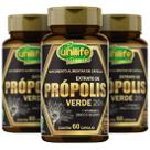 Própolis Verde + Vitamina C Zinco Selênio 500mg 60 cáps Kit com 3