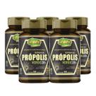 Própolis Verde + Vitamina C Zinco Selênio 60 cáps Kit com 5