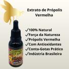 Própolis Vermelha Extrato Líquido Natural Frasco Conta Gotas 30ml