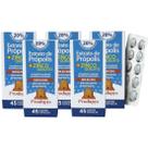 Própolis + Zinco Quelato - Suplemento Alimentar 45 cápsulas sem Álcool Kit com 5
