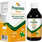 Proposep 150ml Mel, Própolis, Vit.C, Zinco - Arte Nativa