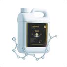 Proteção Impermeabilizante Sofás Tecidos Estofados Tecnologia Anti-manchas Alta Fixação HexShield 5L