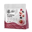 Proteina vegetal 450g frutas vermelhas