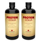 Proteincolla Colágeno Hidrolisado 2x 500ml Nutriscience