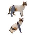 Protetor de Perna Traseira e Dianteira Para Gato Protetor de Perna Traseira e Dianteira Para Gato