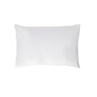 Protetor De Travesseiro Antialérgico Com Tratamento Protector Altenburg 50cm X 70cm