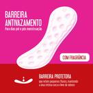 Protetor Diário Carefree Original Econômica Com 40Unidade Protetor Diário Carefree Original Econômica Com 40Unidade
