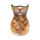 Protetor Facial E De Pescoço 3D Com Design De Gato, Respirável, Secagem Rápida, Poliéster, Protetor