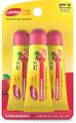 Protetor Labial Carmex Daily Care Moisturizing Lip Balm Fps 15 Morango Strawberry Bisnaga Tubes