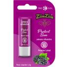 Protetor Labial com Cor Amora Silvestre Hidratante Original ZiinZiin Hidratação Profunda Brilho Nutritivo