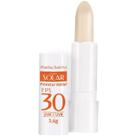 Protetor Labial FPS 30 Rainha Solar Abelha Rainha 3,6g Protetor Labial FPS 30 Rainha Solar Abelha Rainha 3,6g