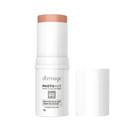 Protetor Solar Facial Photoage Stick Color Mineral FPS 60 Cor Nude 16g - Dermage