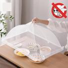 Protetor Tela Mosquiteiro Alimentos Fruta E Bolo 43x43cm