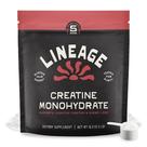 Provisões da linhagem de monohidrato de creatina micronizada 90 porções