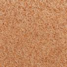 Psyllium 100g Fibra Natural, Textura Versátil e Perfeito para Incorporar em Diversas Receitas