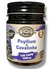 Psyllium + cavalinha canteiro de ervas