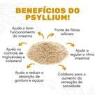 Psyllium Fibra Alimentar 100% Pura Pacote 1 Kg Total Food