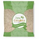 Psyllium (Granel 100g)