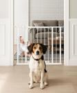 Puerta para Bebés Ozzy & Kazoo Ajustable 72-102 cm de Ancho x 76 cm de Alto Puerta para Bebés Ozzy & Kazoo Ajustable 72-102 cm de Ancho x 76 cm de Alto