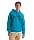 Pulôver masculino com capuz THE NORTH FACE Half Dome azul M