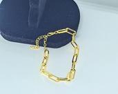 Pulseira Corrente Elo Grossa Feminino/Masculino Folheado Ouro 18k Dourado Adulto/Infantil Tendência