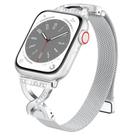 Pulseira de relógio BRG Thin Mesh Loop em aço inoxidável 44-46 mm Apple