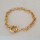 Pulseira fem elos