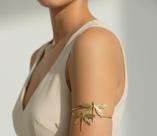 Pulseiras Bijuteria Feminina Libélula Delicada Ajustável Pulseiras Bijuteria Feminina Libélula Delicada Ajustável