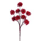 Puntas Navideñas de Vegetación Vickerman con Bayas y Pompones Rojos 14 cm Puntas Navideñas de Vegetación Vickerman con Bayas y Pompones Rojos 14 cm