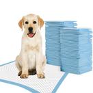 Puppy Pads TBM 100 unidades, 60x60cm, superabsorventes para cães
