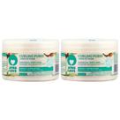 Purê de ondulação Afro Love Afro Love 240 ml (pacote com 2)