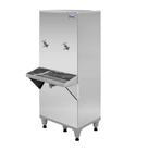 Purificador Industrial Inox 50 Litros 2 Torneiras Ra50 127V - Frisbel