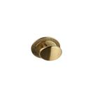 Puxador Beetle Com Base Granada Gold Escovado Zen Design Puxador Beetle Com Base Granada Gold Escovado Zen Design