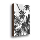 QADR28-Quadro Decorativo Coqueiros Preto e Branco 40x60cm