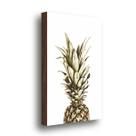 QADR33-Quadro Decorativo Abacaxi 40x60cm com Moldura