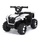 Quadriciclo De Passeio Infantil Carro Elétrico 6V Com Música E Luzes - Zippy Toys