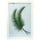 Quadrinho Decorativo Sala Planta Verde Cactos Quadrinho Decorativo Sala Planta Verde Cactos