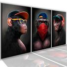 Quadro 3 peças 40x60 gangue dos macacos